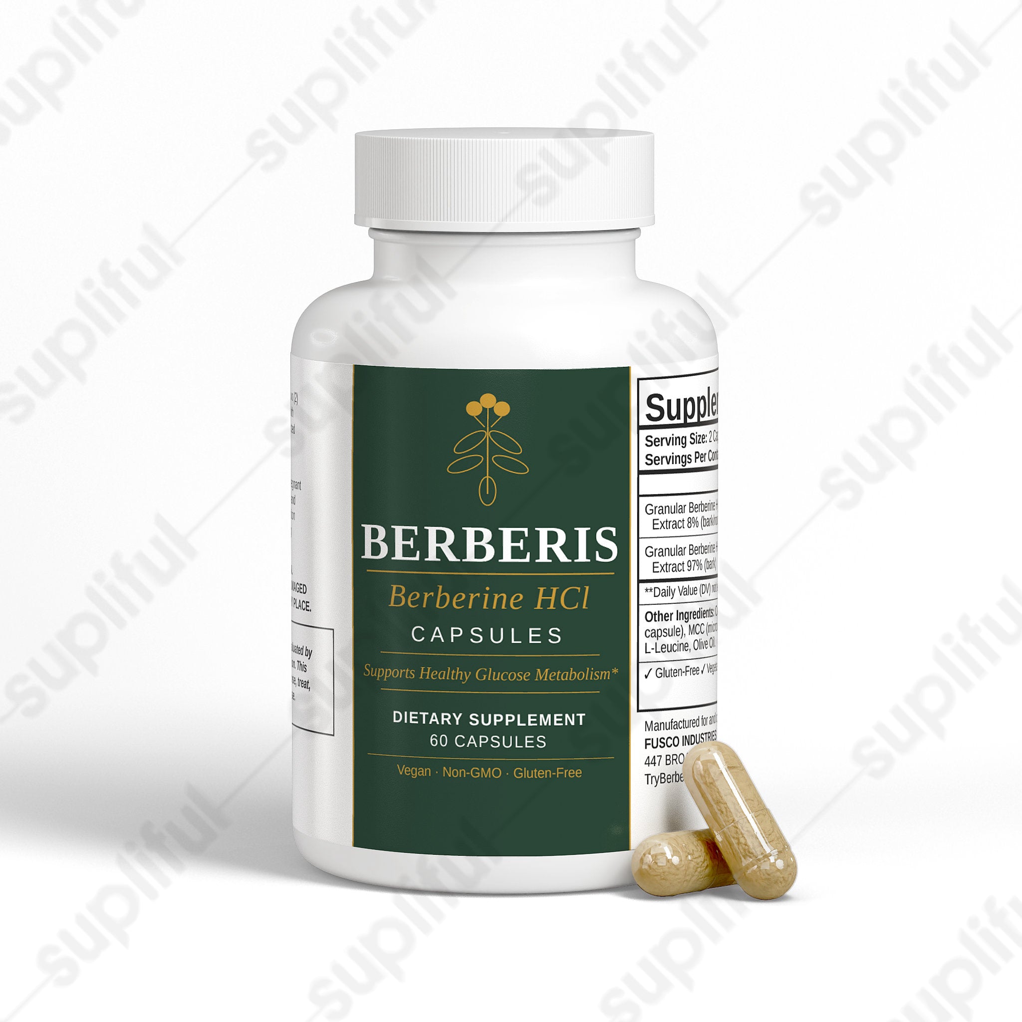 Berberis (3 Pack)